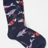 Blue Shelter Wilson The Whale Socks 1 Pack