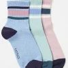 Blue Stripe Sport Socks 3 Pack