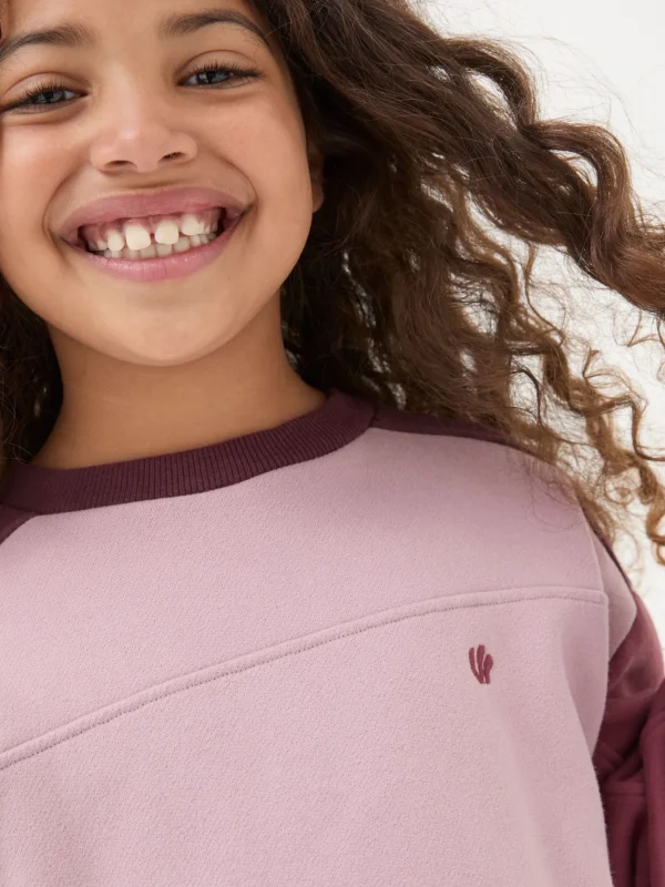 Dusky Purple Butterfly Sweatshirt